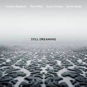 Joshua Redman - Still Dreaming (feat. Ron Miles, Scott Colley & Brian Blade) (2018)