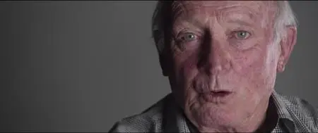 McLaren (2017)