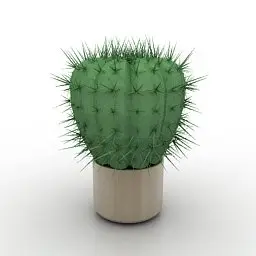 3D model of cactus