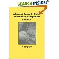 Advanced Topics in Global Information Management