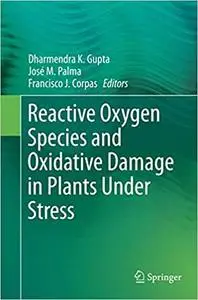 Reactive Oxygen Species and Oxidative Damage in Plants Under Stress (Repost)