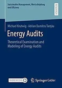 Energy Audits: Theoretical Examination and Modeling of Energy Audits