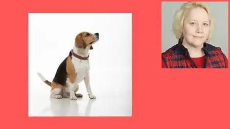 Learn Research Based Dog Training For Behavior Management
