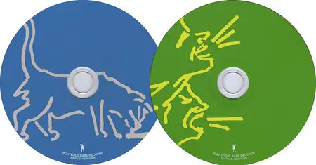 Ani DiFranco - So Much Shouting, So Much Laughter (2002) 2CD