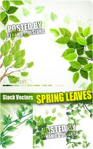 Spring leaves - Stock Vectors