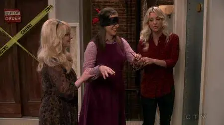 The Big Bang Theory S11E20