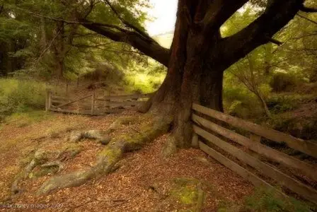 World In Photo 261