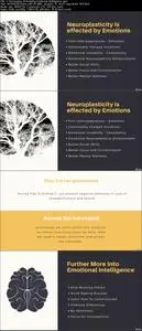 Neuroplasticity Systems To Rewire Your Brain