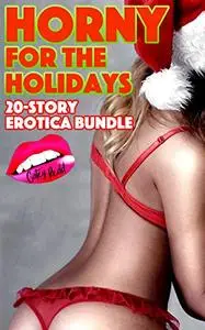 Horny For The Holidays: 20-Story Erotica Bundle