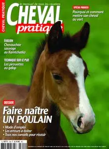 Cheval Pratique - avril 2019