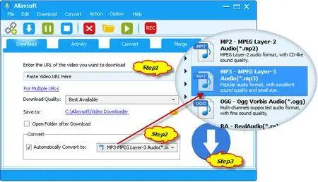 Allavsoft Video Downloader Converter 3.15.3.6534 Multilingual Portable