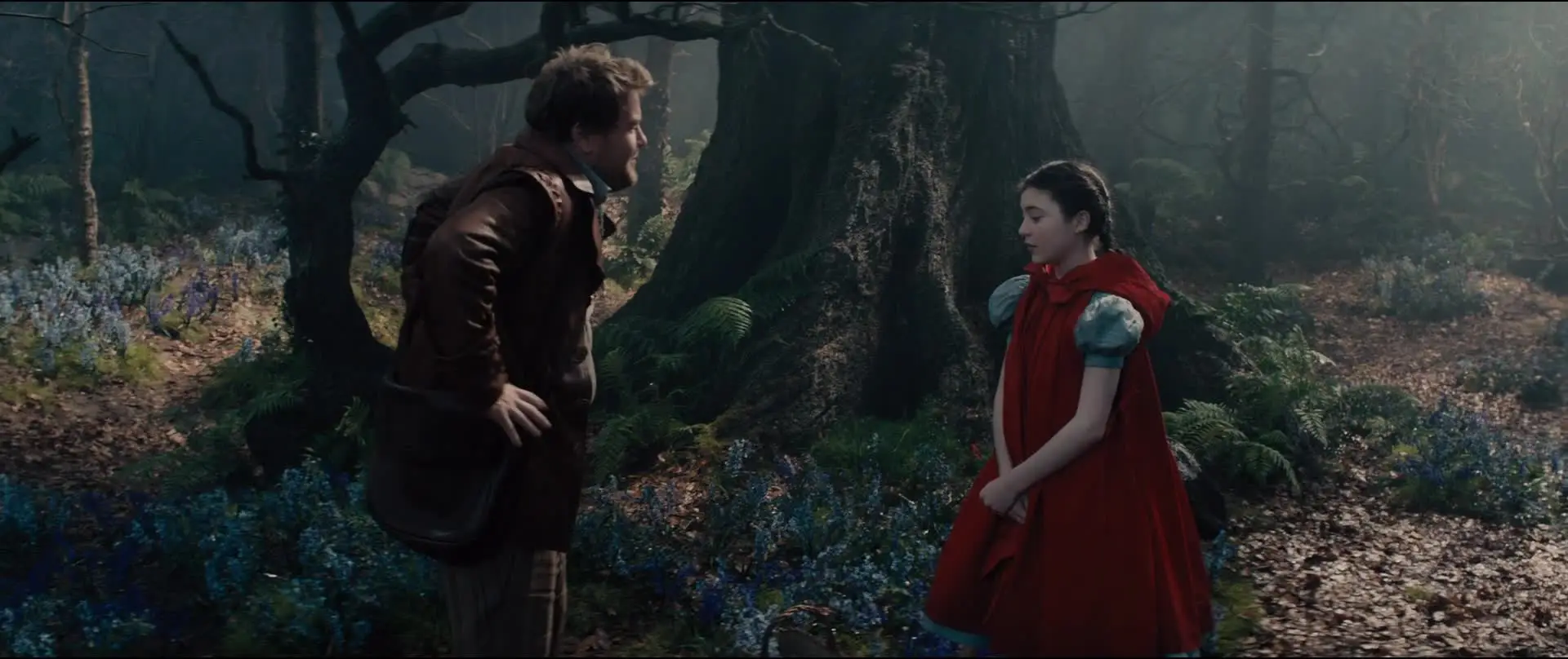 Into the Woods (2014) .