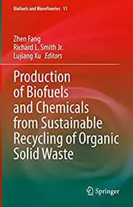 Production of Biofuels and Chemicals from Sustainable Recycling of Organic Solid Waste