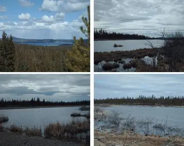 11 Scenery Wallpapers