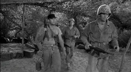 Hell to Eternity (1960)