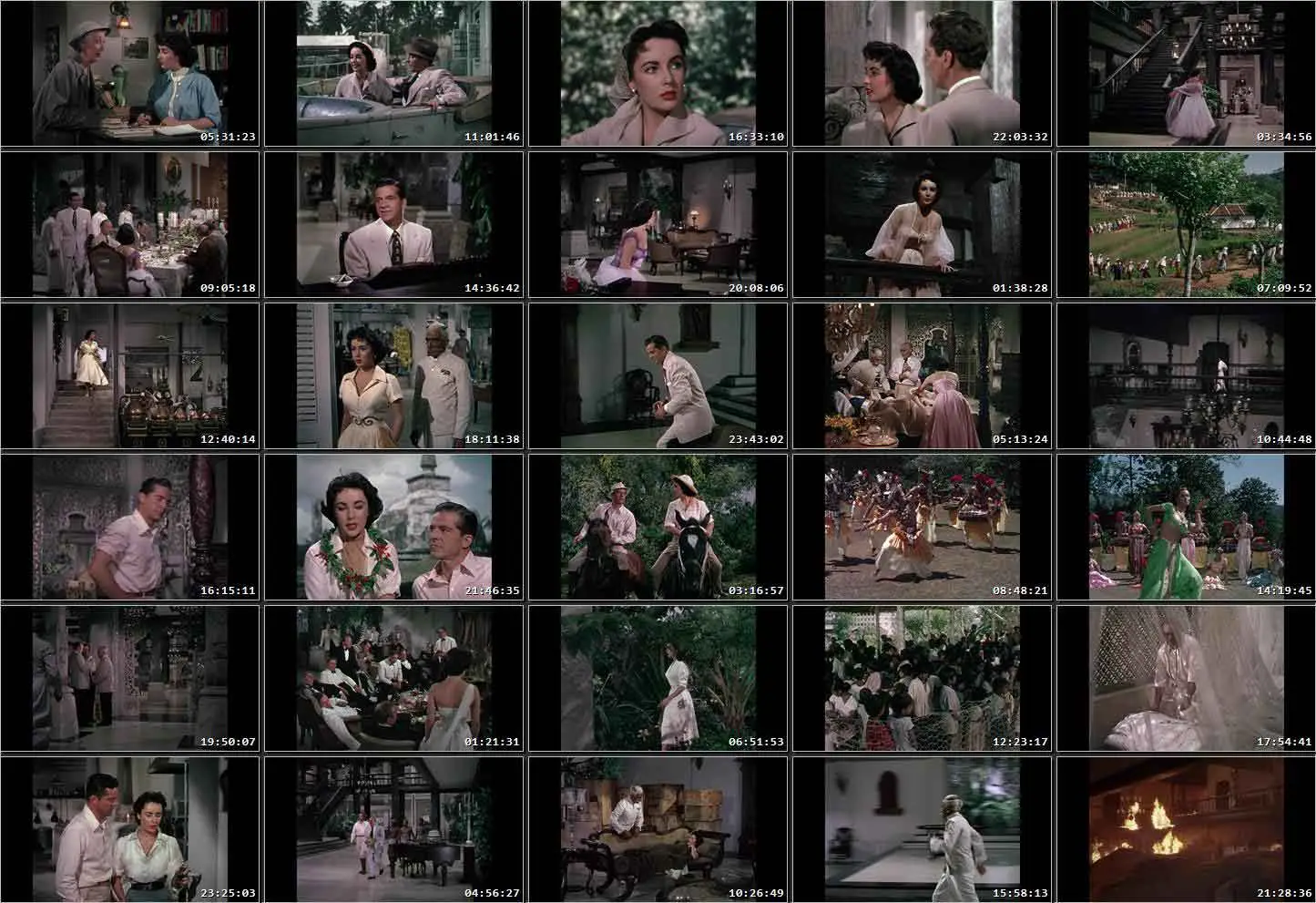 Elephant Walk (1954)