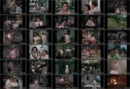 Elephant Walk (1954)