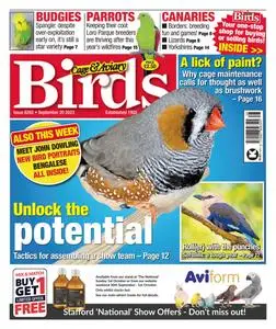 Cage & Aviary Birds - 20 September 2023