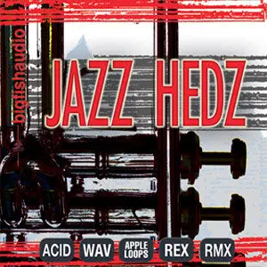 Big Fish Audio Jazz Hedz Acid Jazz MULTiFORMAT