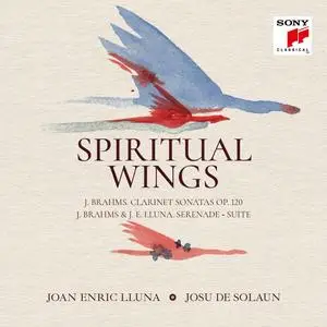 Joan Enric Lluna & Josu de Solaun - Brahms: Spiritual Wings (2024) [Official Digital Download 24/96]