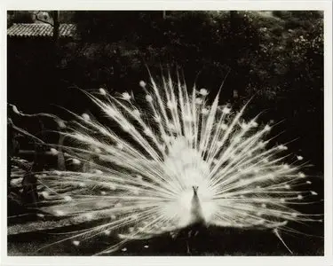 Smashing Pumpkins - Pisces Iscariot (1994) [2CD+DVD] {2012 Virgin Deluxe Edition}