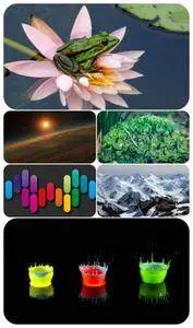 Beautiful Mixed Wallpapers Pack 424