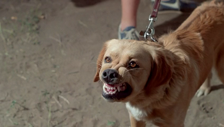 Vacation (1983)