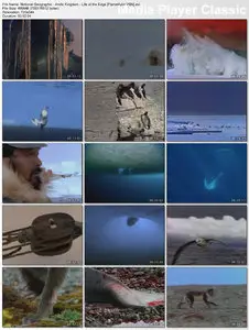 National Geographic's Arctic Kingdom: Life at the Edge (1996)