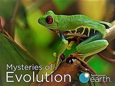 Smithsonian Earth - Mysteries of Evolution: Series 1 (2017)