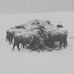 bvdub - Ten Times the World Lied (2020)
