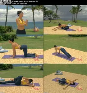 Sara Ivanhoe - Yoga Target Zone 