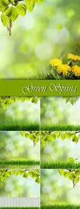 Stock Photo - Green Spring