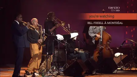 Bill Frisell - Live at Montreal Jazz Festival 2002 [HDTV 1080i]