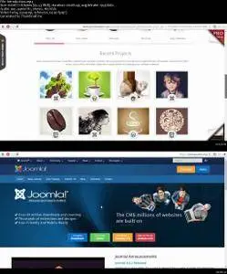 Learn How To Build A Professional Web Site By Using Joomla (2016)