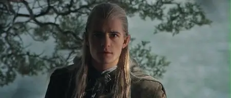 The Lord of The Rings: The Fellowship of The Ring SEE (2001)