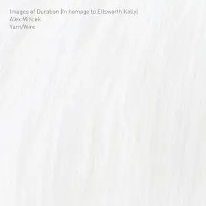 Yarn/Wire - Images of Duration (In homage to Ellsworth Kelly) (2018)