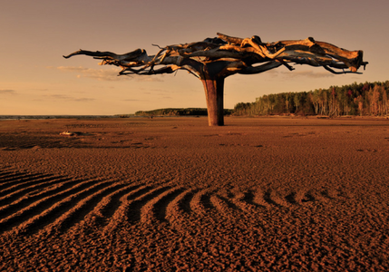 World In Photo 254