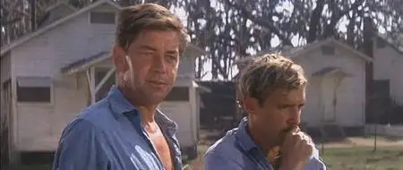 Cool Hand Luke (1967)