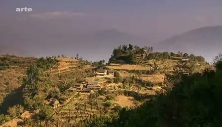 (Arte) Népal, la pharmacie de la jungle (2011)