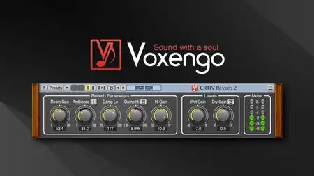 Voxengo Plug-ins & Tools Bundle 2022.4 (x64)