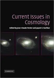 Current Issues in Cosmology (Repost)