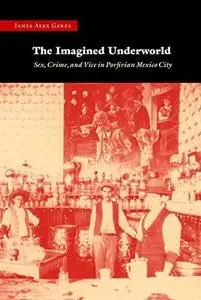 The Imagined Underworld: Sex, Crime, and Vice in Porfirian Mexico City