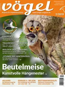 VÖGEL - Magazin für Vogelbeobachtung – 01. März 2019