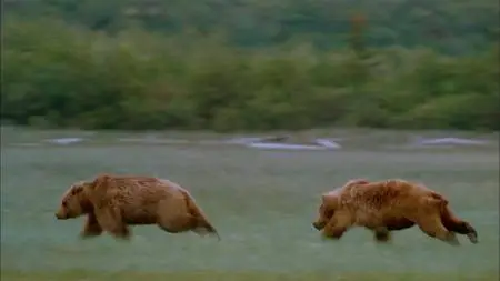 Alaska: Spirit of the Wild (1998)