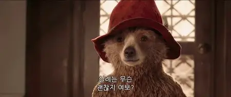 Paddington (2014)