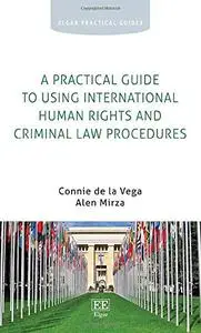 A Practical Guide to Using International Human Rights and Criminal Law Procedures