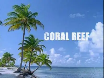 Прирожденные охотники. Диск 1