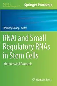 RNAi and Small Regulatory RNAs in Stem Cells: Methods and Protocols (Methods in Molecular Biology)