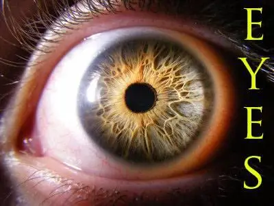Human Eyes - Stock Images