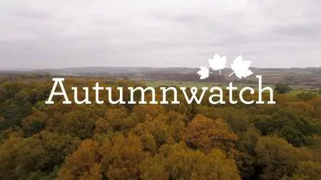 BBC - Autumnwatch 2017 (2017)